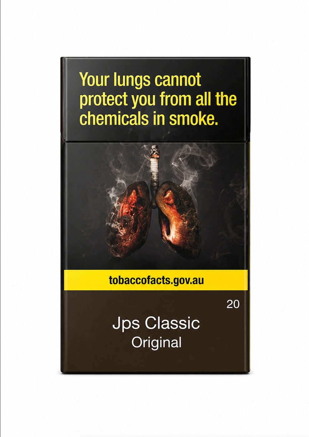 JPS